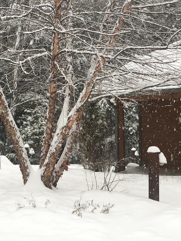 The Fern Lodge Chestertown Exterior photo