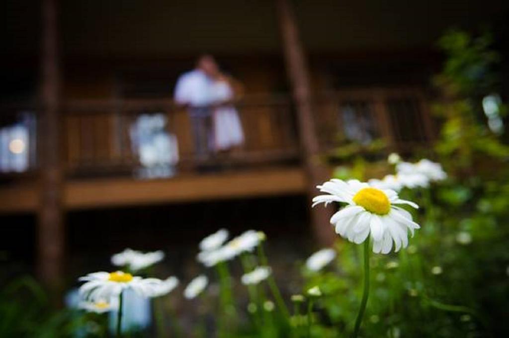 The Fern Lodge Chestertown Exterior photo